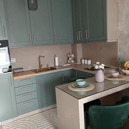 Vukmirovic Apartment