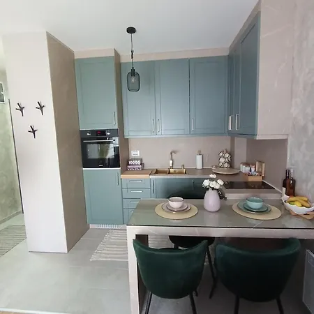 Apartment Vukmirovic *